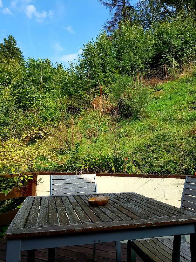 Certovka Peklo Hotel Náchod Екстериор снимка